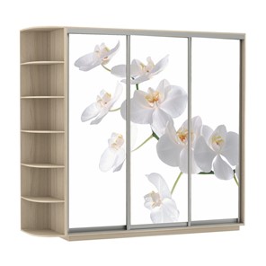 Шкаф Экспресс со стеллажом, 2100х600х2200, Орхидея белая/шимо светлый в Алматы