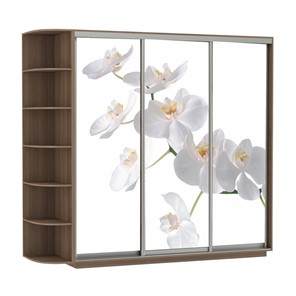 Шкаф трехдверный Экспресс со стеллажом, 2100х600х2200, Орхидея белая/шимо темный в Алматы