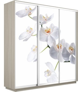 Шкаф 3-створчатый Экспресс 2400х600х2200, Орхидея белая/шимо светлый в Алматы